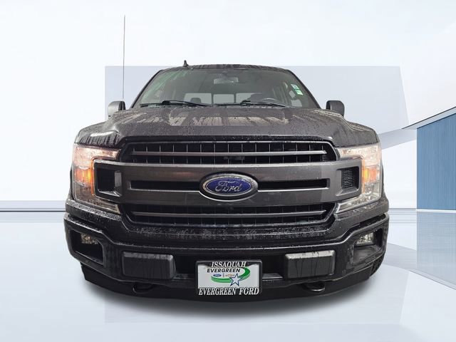 Used 2019 Ford F150 XLT w/ Equipment Group 302A Luxury image 2