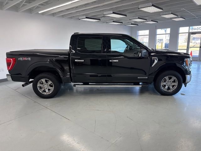 Used 2023 Ford F150 XLT w/ Equipment Group 302A High image 13
