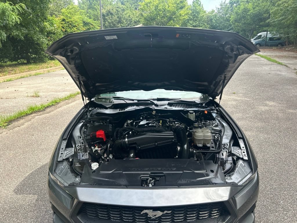 Used 2024 Ford Mustang Premium RWD image 11