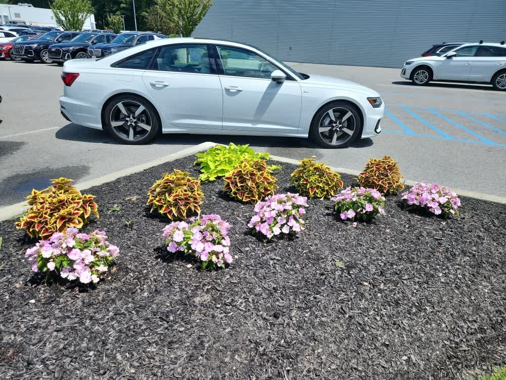 Used 2021 Audi A6 3.0T Premium w/ Black Optic Sport Package AWD/4WD image 13