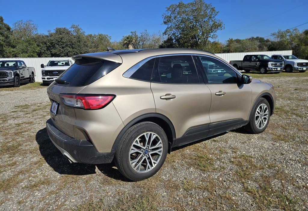 Used 2020 Ford Escape SEL image 5