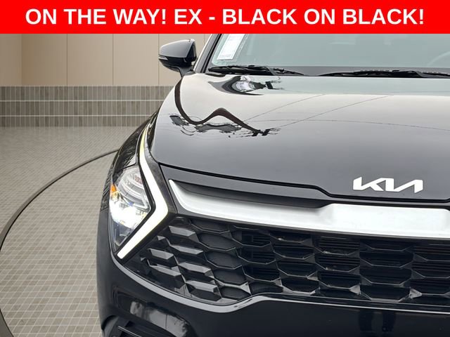 Used 2023 Kia Sportage EX image 9