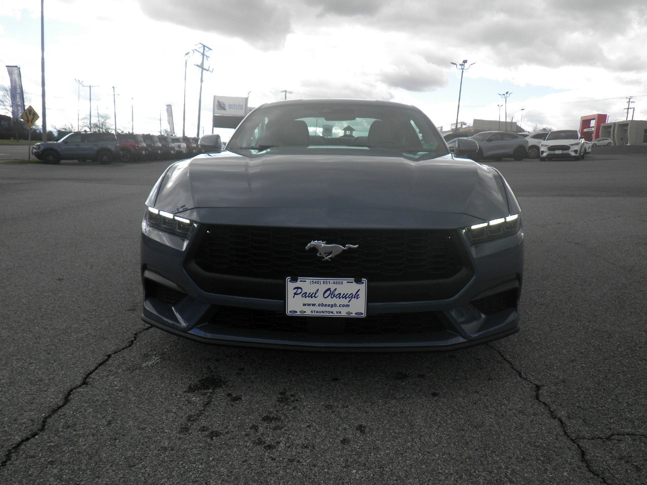 Used 2025 Ford Mustang Premium image 2