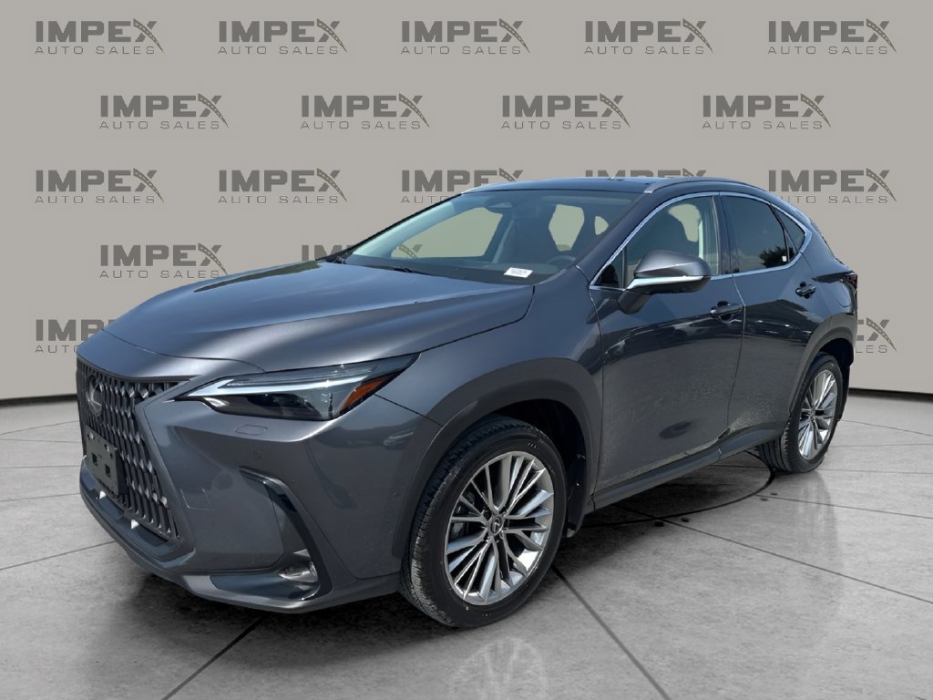 Used 2024 Lexus NX 350h AWD w/ Vision Package