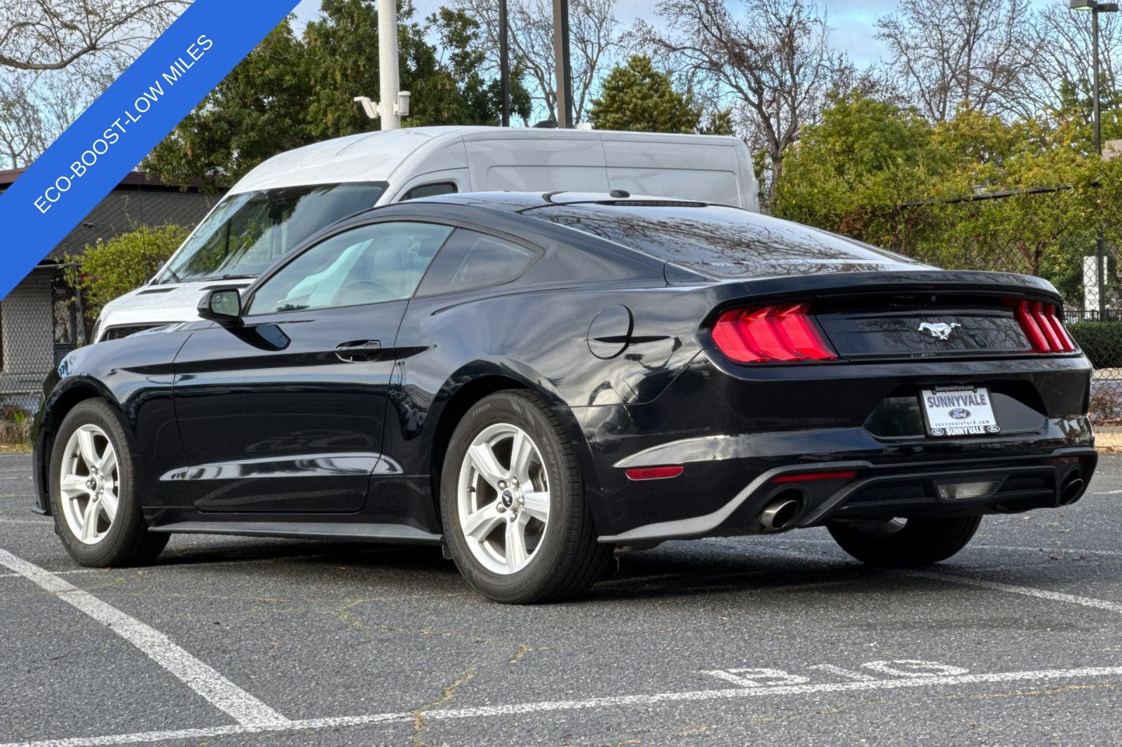 Certified 2019 Ford Mustang EcoBoost image 6