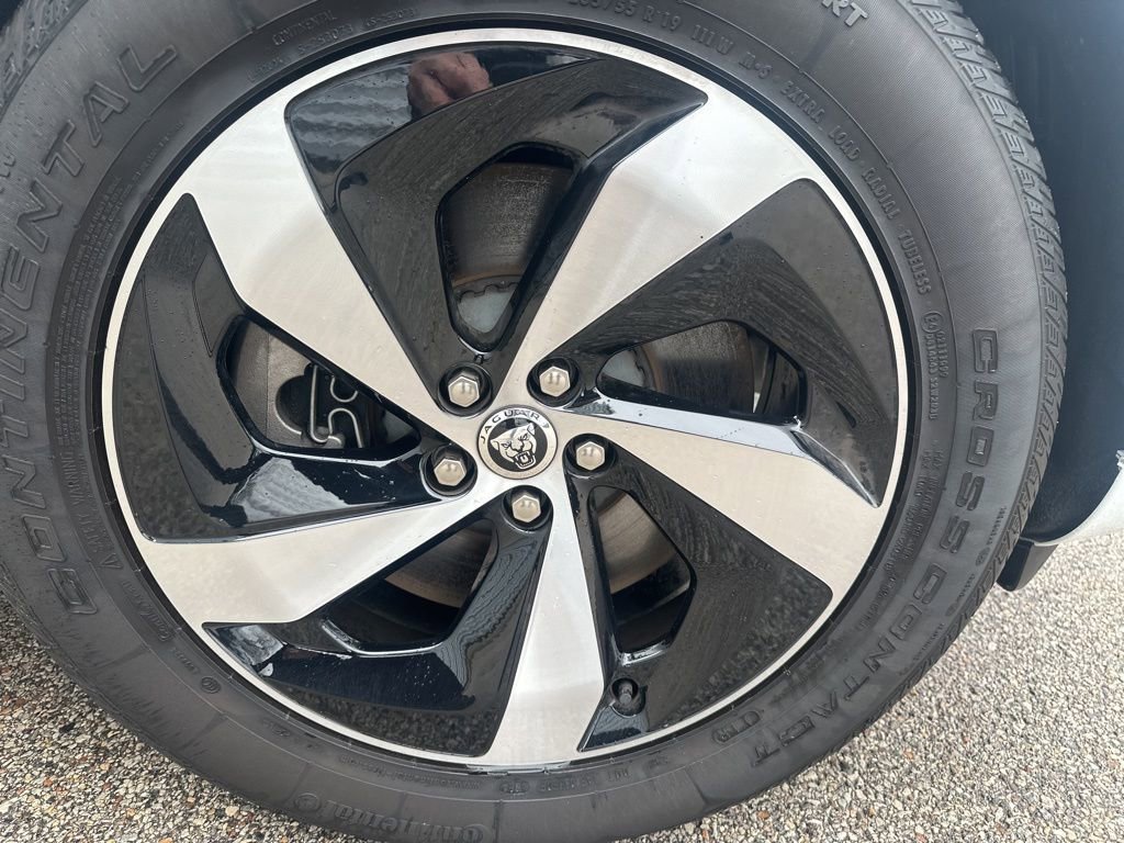 Used 2026 Jaguar F-PACE R-Dynamic S image 13