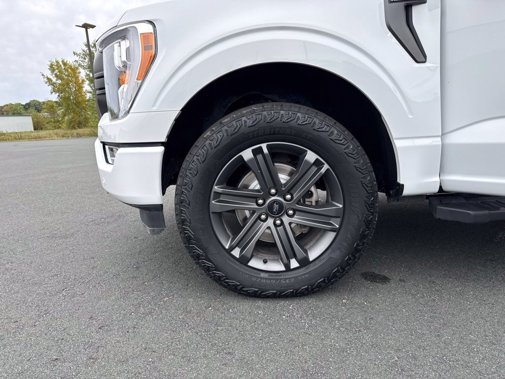 Used 2023 Ford F150 XLT w/ Equipment Group 302A High AWD/4WD image 41