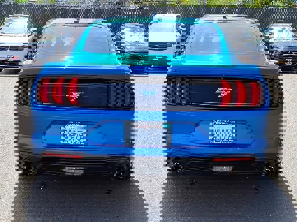 Used 2021 Ford Mustang EcoBoost w/ Equipment Group 101A image 5