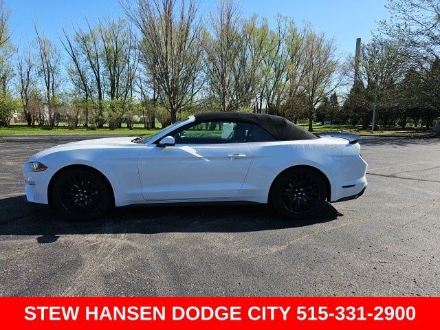 Used 2019 Ford Mustang Premium RWD image 1