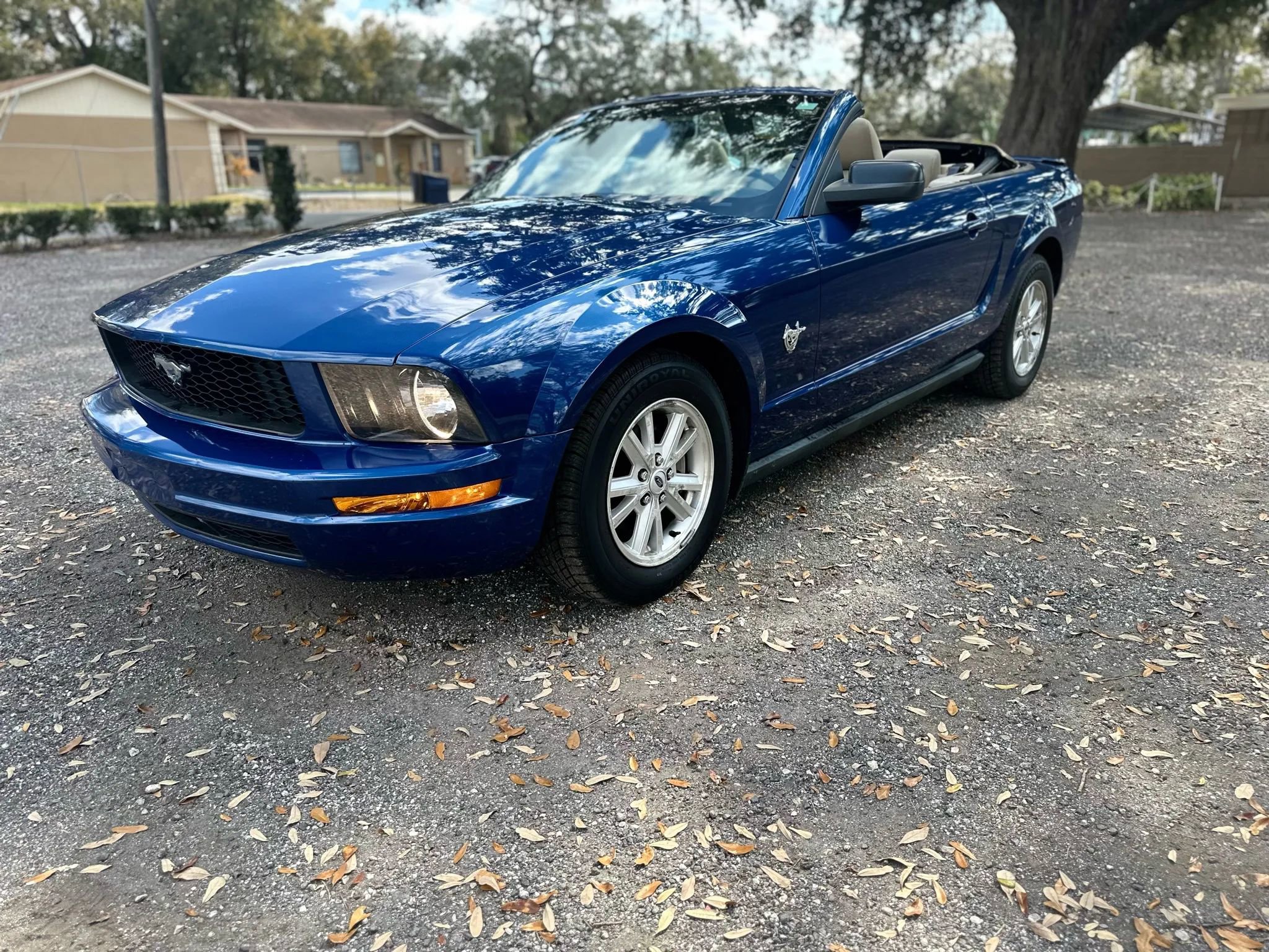 Used 2009 Ford Mustang Deluxe Convertible image 7