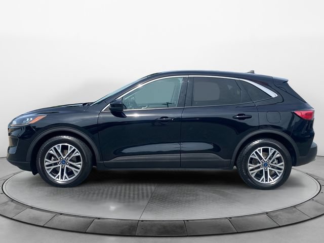 Used 2022 Ford Escape SEL FWD image 2