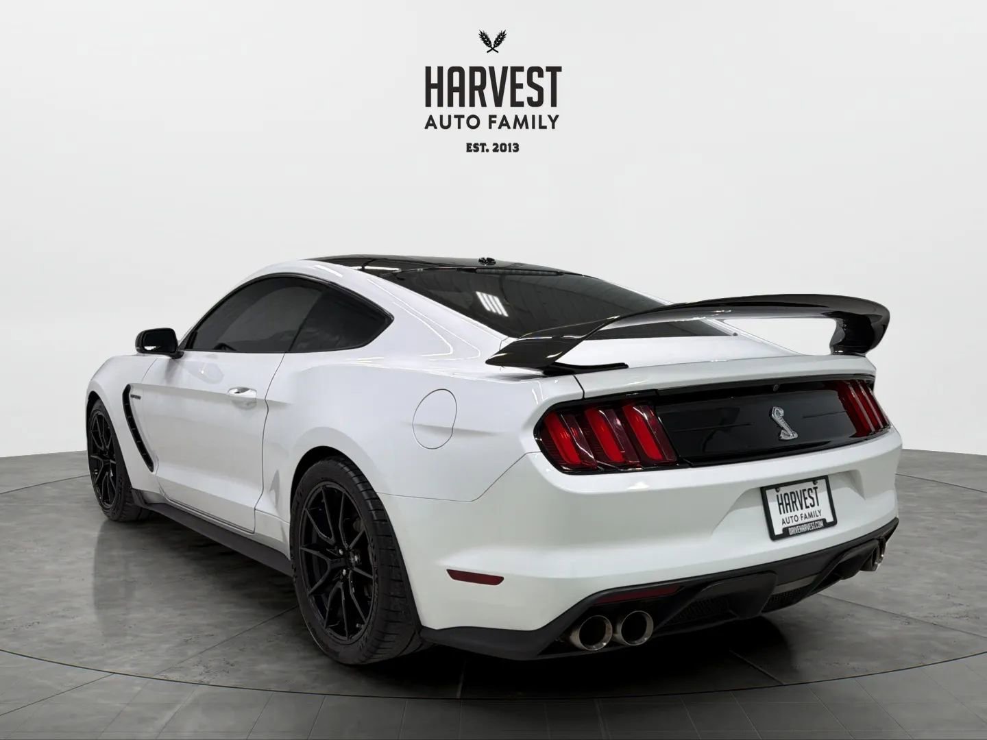 Used 2019 Ford Mustang Shelby GT350 w/ Technology Package image 4