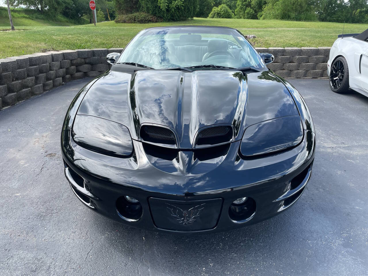 Used 1999 Pontiac Firebird Trans Am RWD image 69