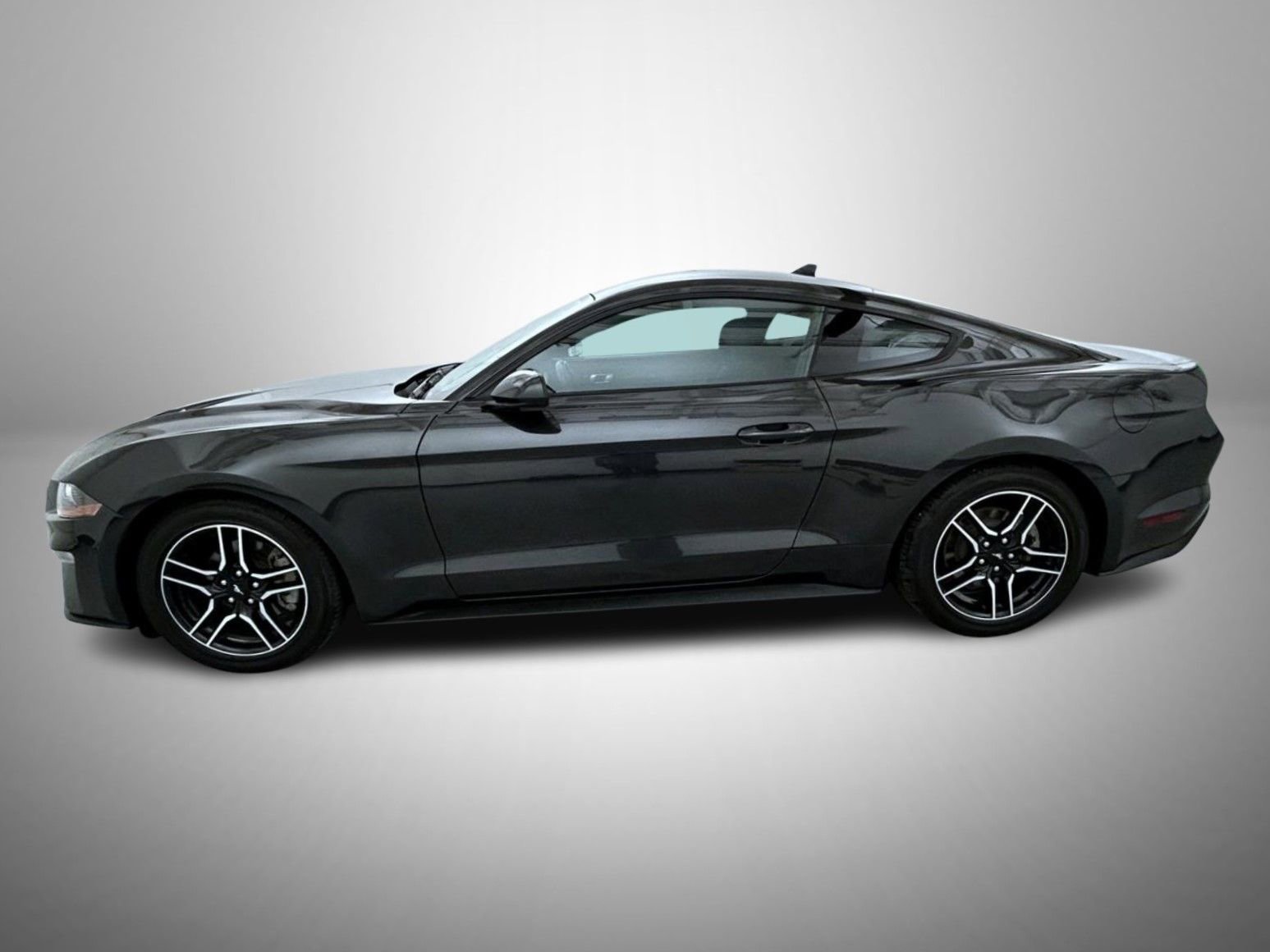 Used 2023 Ford Mustang Coupe w/ Equipment Group 101A image 8