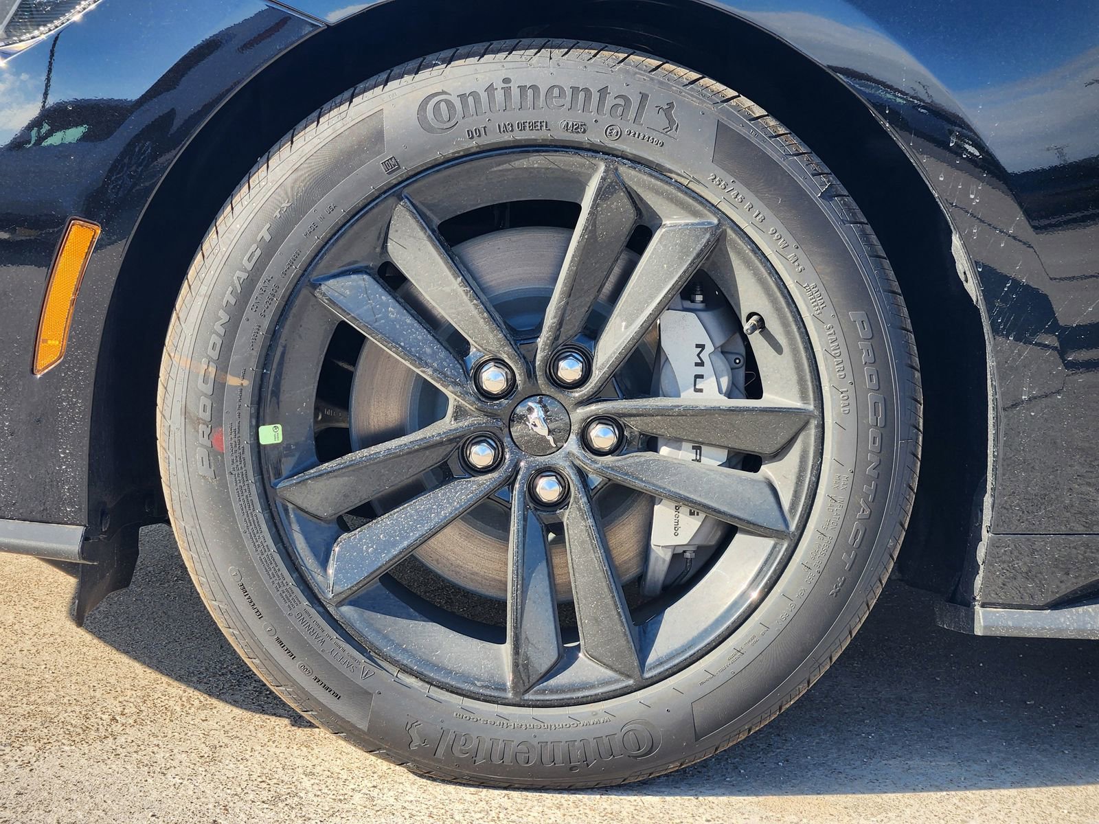 New 2026 Ford Mustang GT image 11