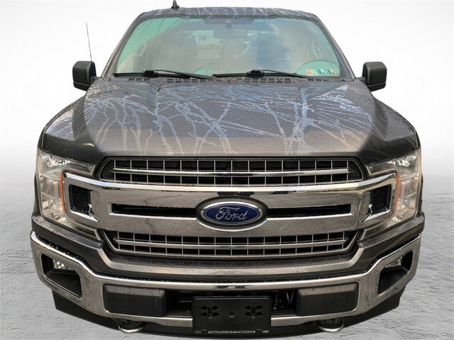 Used 2019 Ford F150 XLT w/ Equipment Group 301A Mid AWD/4WD image 7