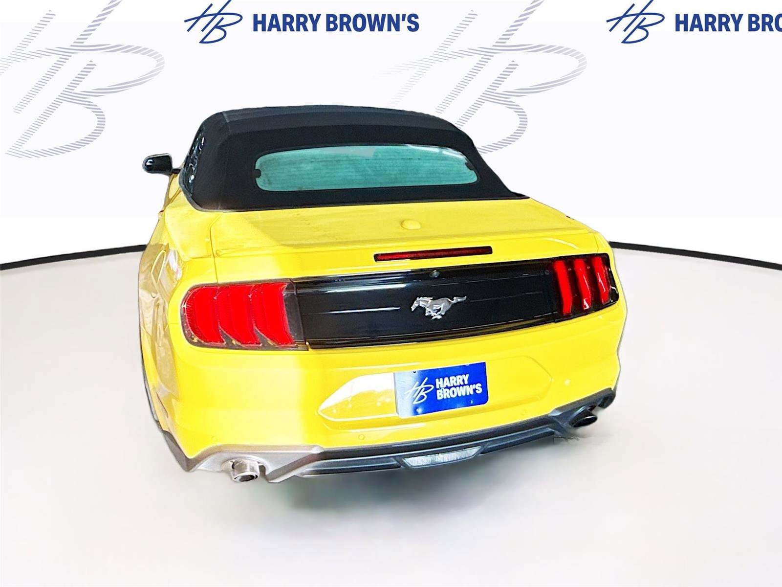 Used 2018 Ford Mustang Premium w/ Equipment Group 201A RWD image 9