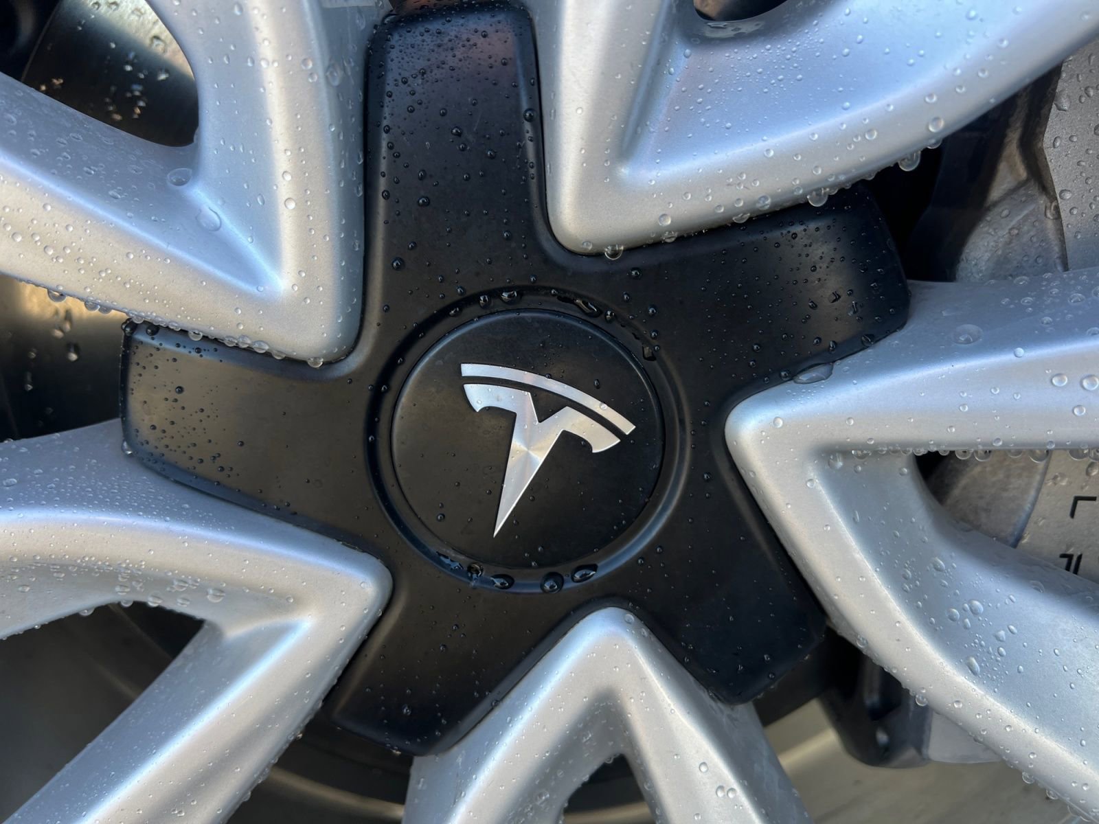 Used 2022 Tesla Model 3 Standard Range RWD image 31