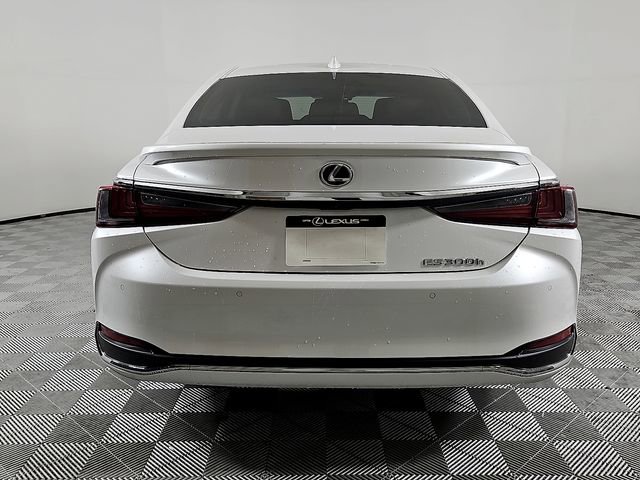 Used 2025 Lexus ES 300h w/ Premium Package image 5