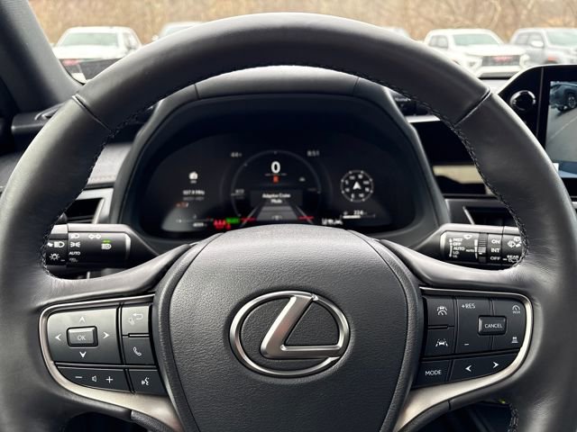 Used 2025 Lexus UX 300h AWD w/ Cold Area Package image 22
