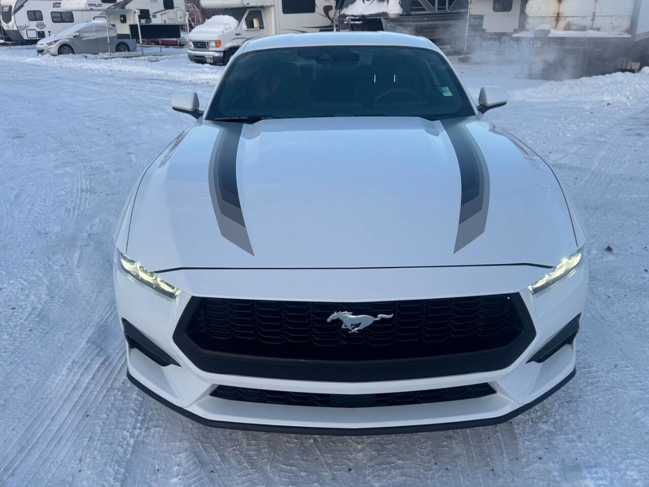 Used 2024 Ford Mustang Coupe image 12