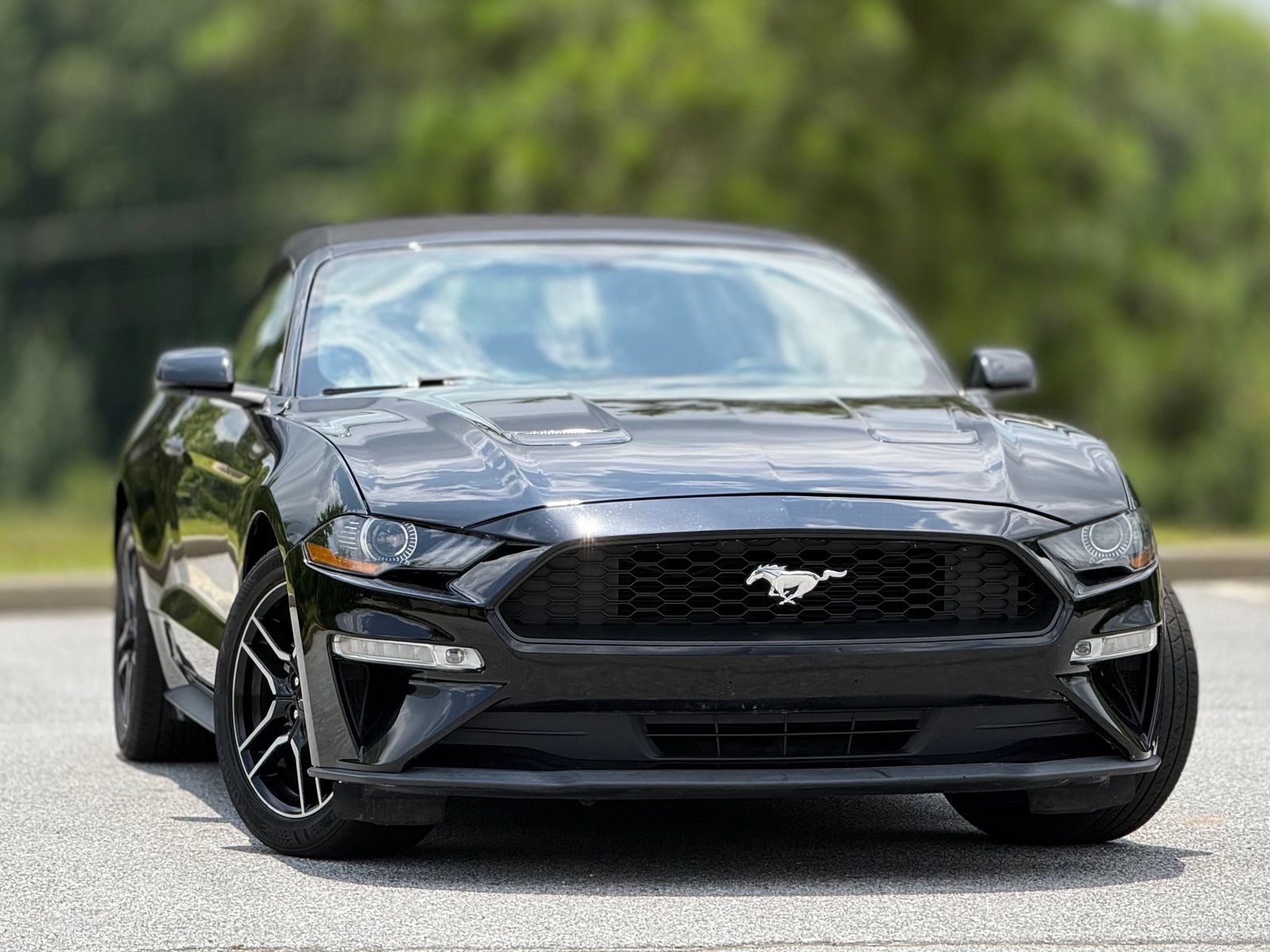 Used 2019 Ford Mustang Premium RWD image 4
