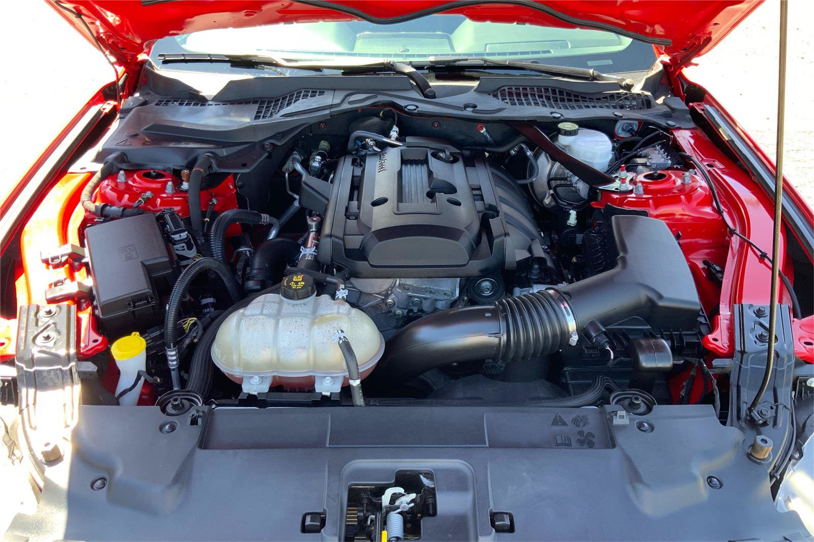 Used 2019 Ford Mustang Convertible w/ Equipment Group 101A RWD image 22