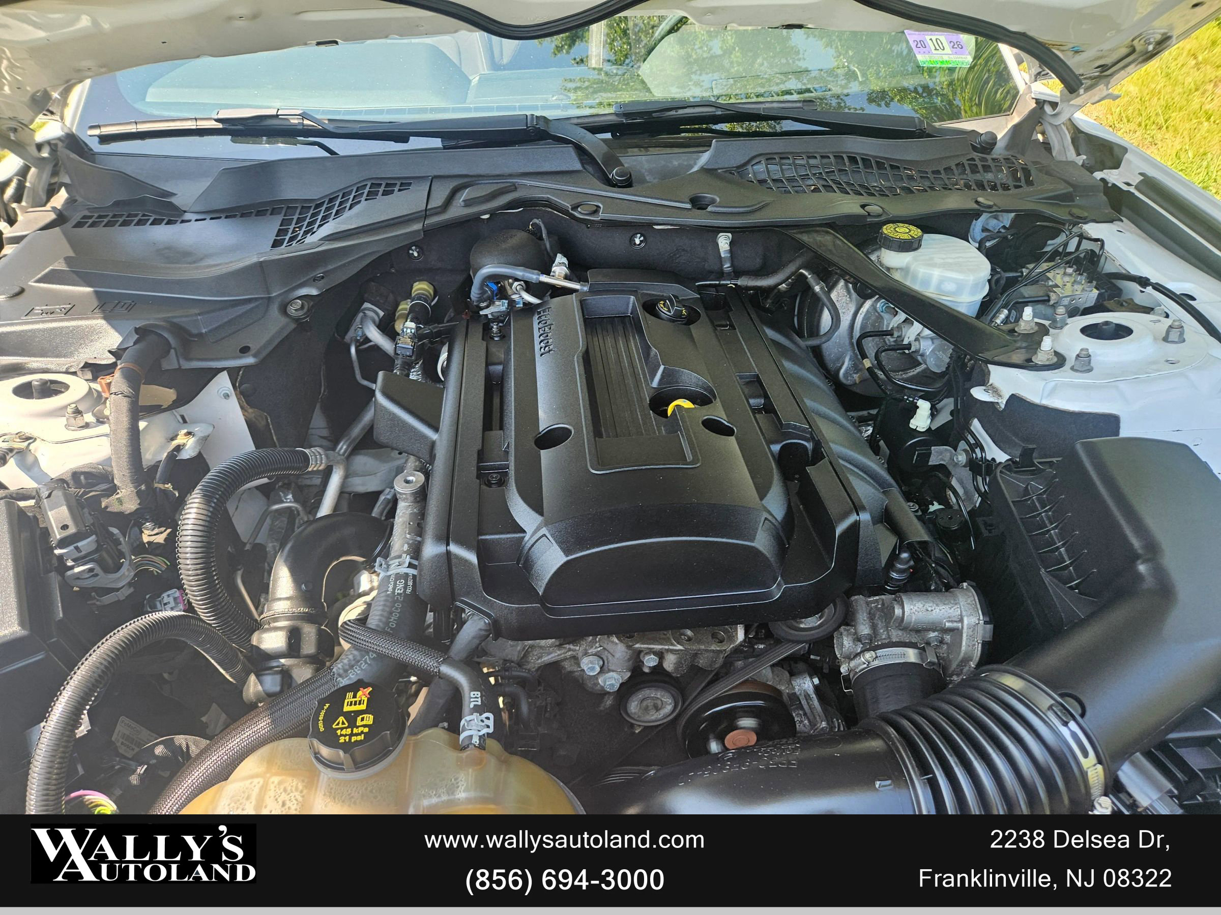 Used 2019 Ford Mustang Convertible image 11