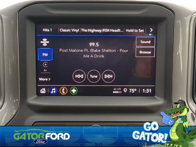 Used 2024 Chevrolet Silverado 1500 Custom Trail Boss w/ LPO, Dark Essentials Package image 20