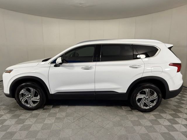 Used 2023 Hyundai Santa Fe SEL AWD/4WD image 3