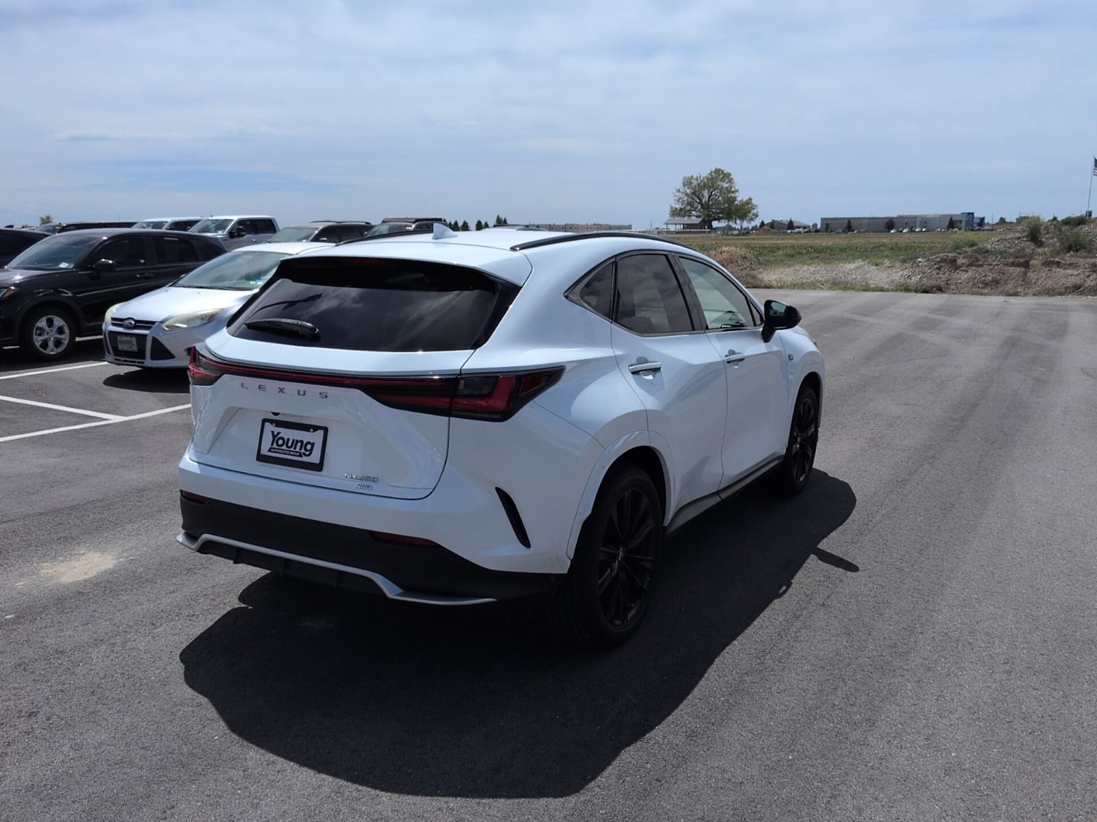 Used 2023 Lexus NX 350 F Sport AWD/4WD image 7
