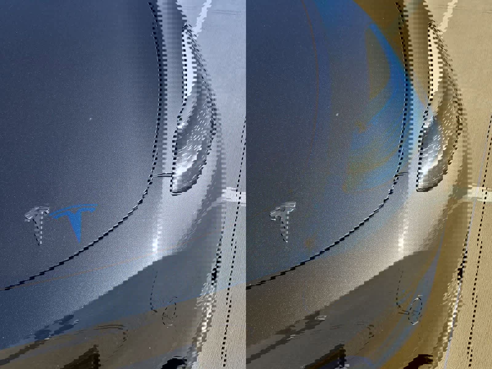 Used 2023 Tesla Model Y Long Range image 10