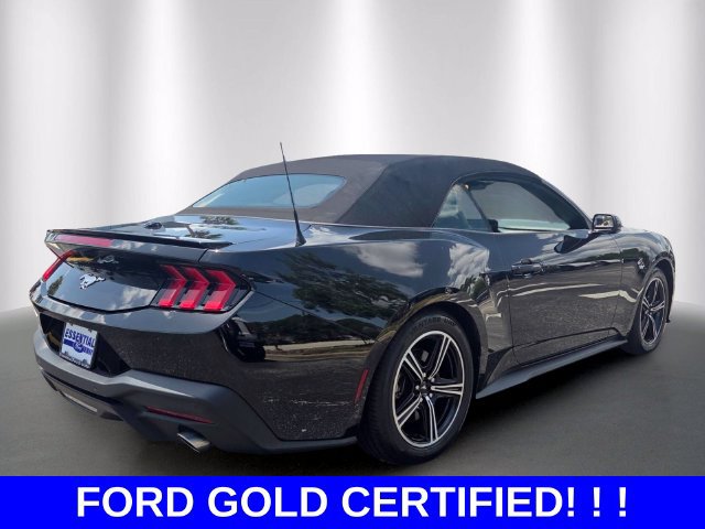 Used 2024 Ford Mustang Premium RWD image 5