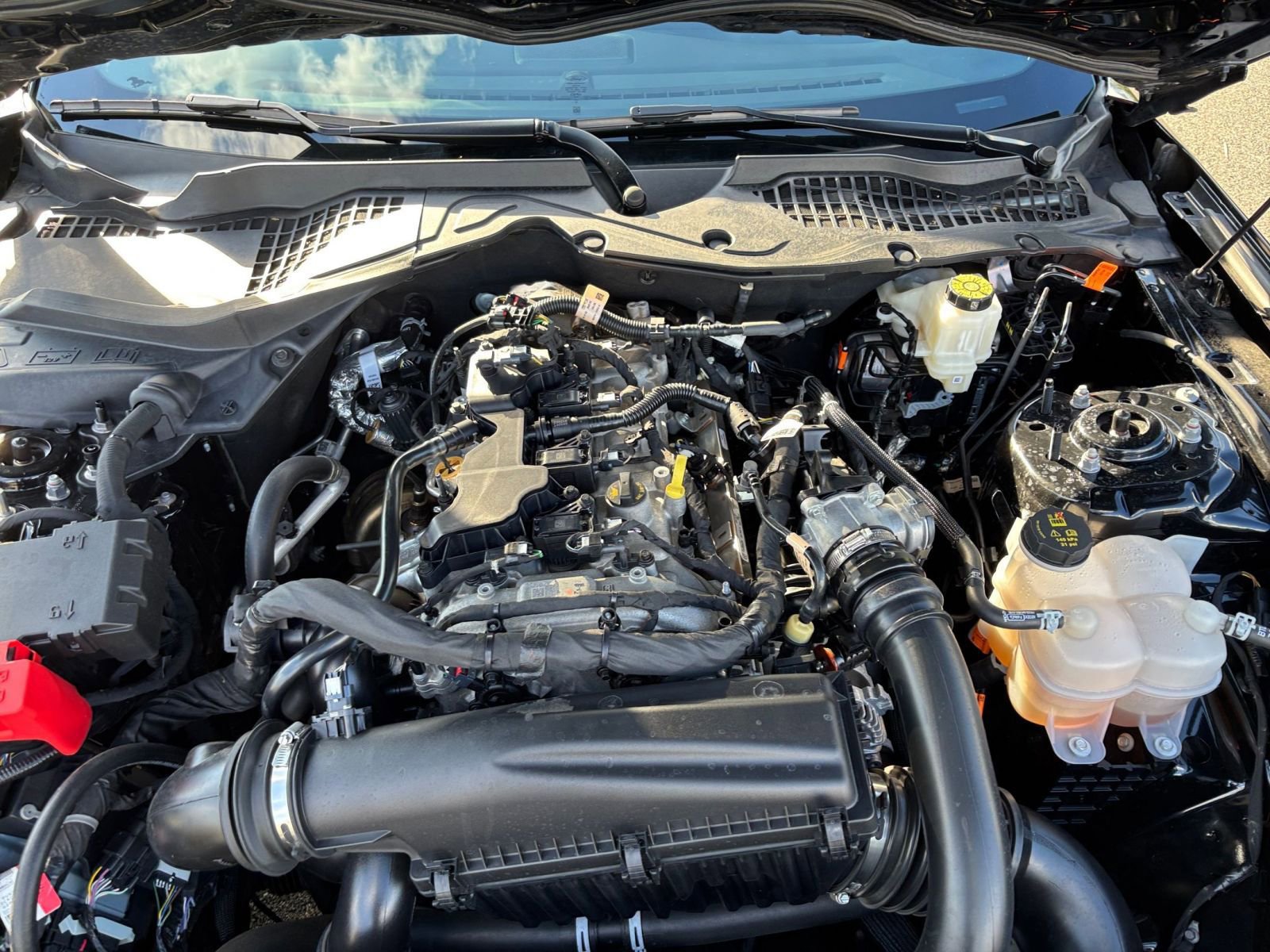 Used 2024 Ford Mustang Premium image 31