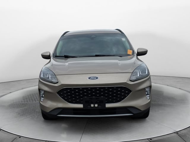 Used 2020 Ford Escape SEL FWD image 8