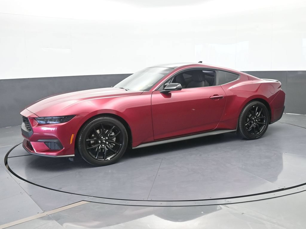 Used 2025 Ford Mustang Coupe w/ Mustang Nite Pony Package RWD image 2