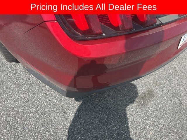 Used 2017 Ford Mustang GT Premium w/ Equipment Group 401A RWD image 10