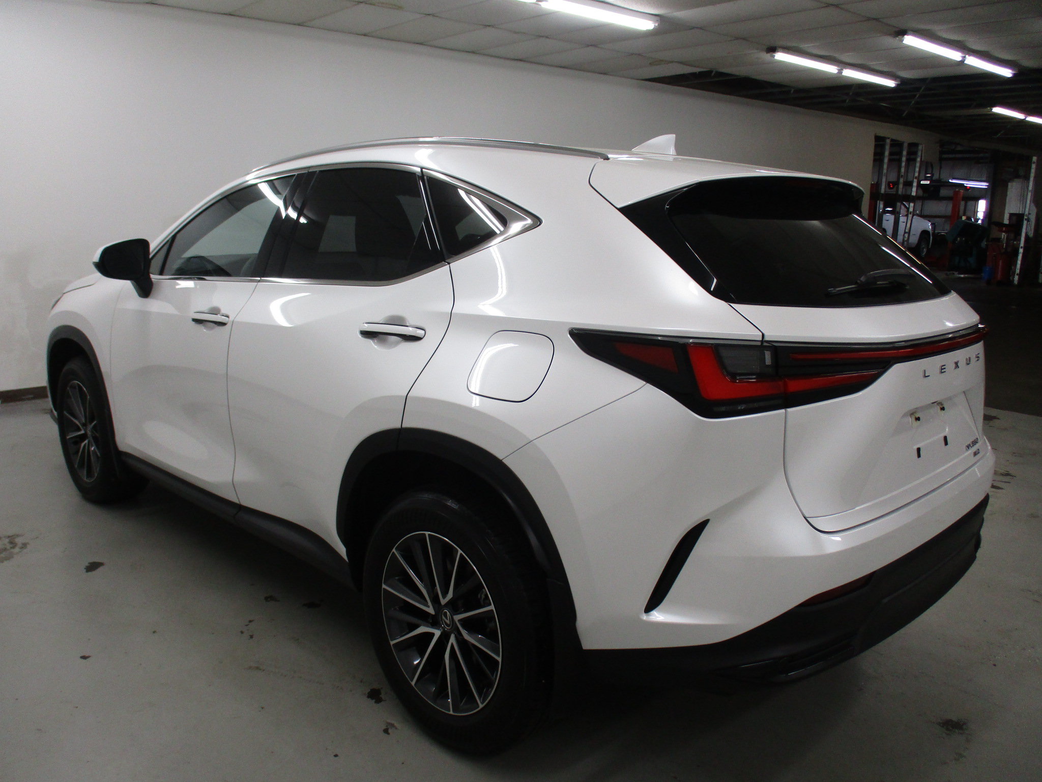Used 2024 Lexus NX 350 AWD w/ Cold Area Package image 5