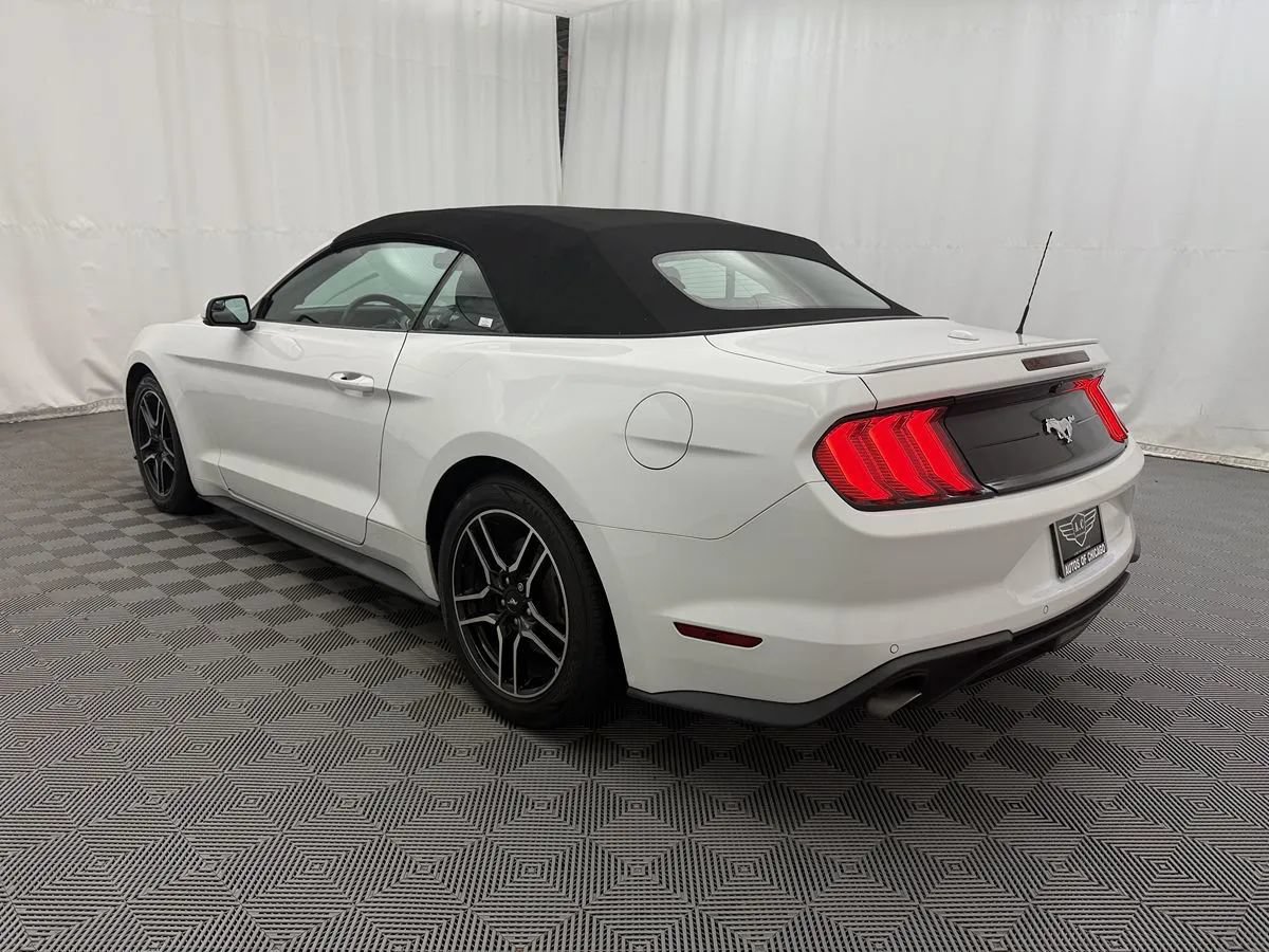 Used 2018 Ford Mustang Premium w/ Equipment Group 201A RWD image 14