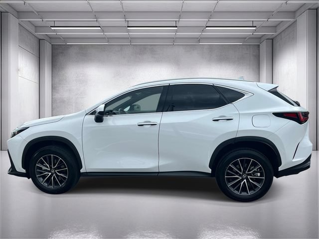 Used 2026 Lexus NX 350 AWD w/ Cold Area Package image 6