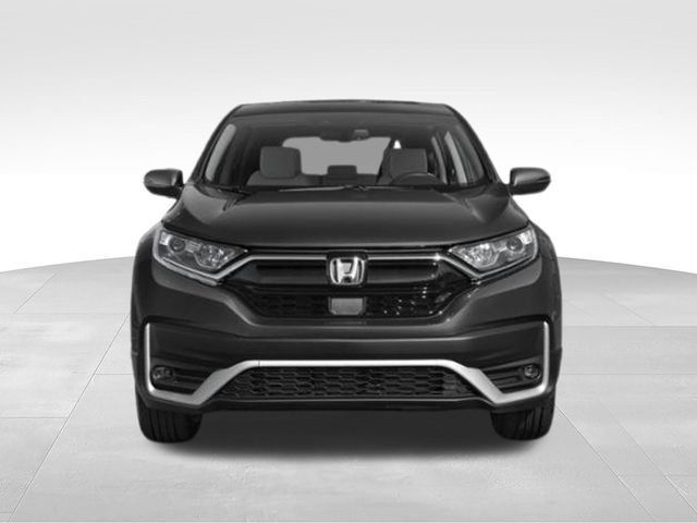 Used 2020 Honda CR-V EX-L image 4