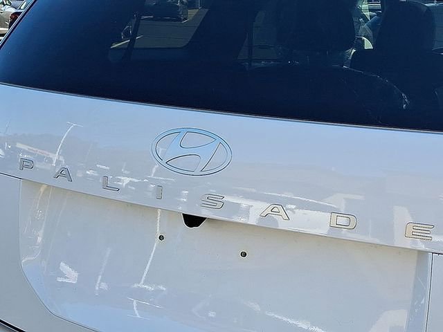 New 2026 Hyundai Palisade Calligraphy image 6