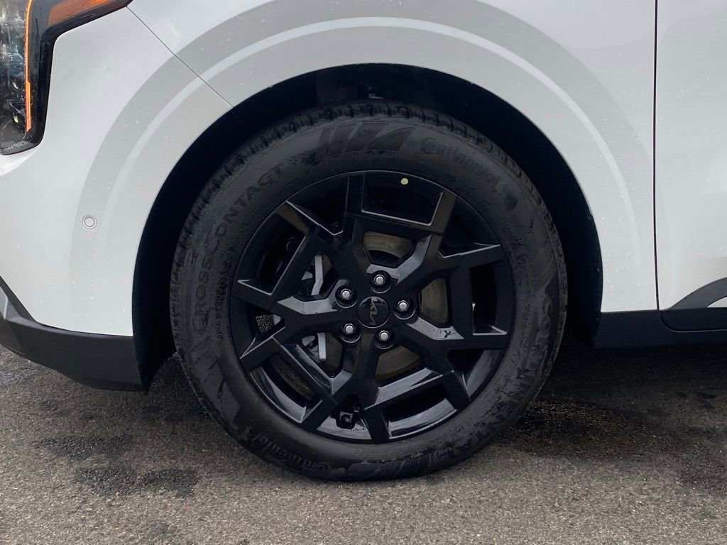 New 2026 Kia Carnival SX Prestige image 35