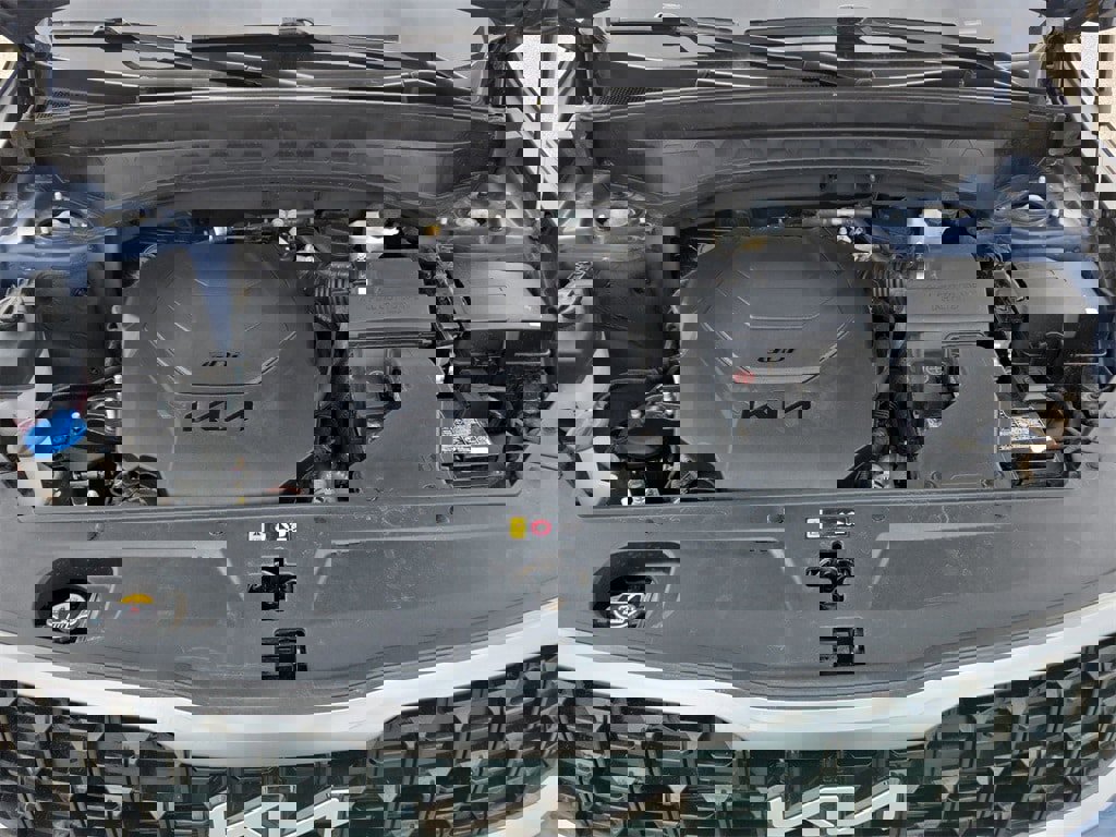 Used 2023 Kia Telluride SX Prestige X-Pro image 10