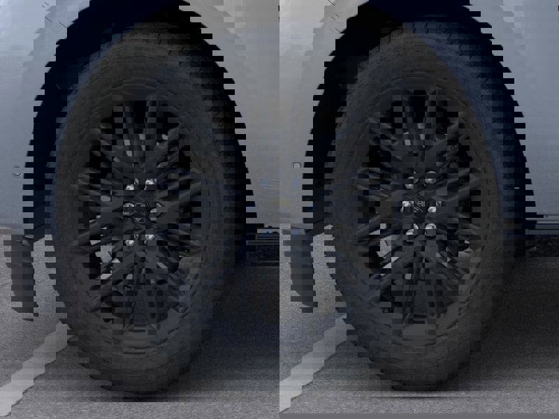 New 2026 Ford Expedition Platinum w/ Stealth Appearance Package image 19