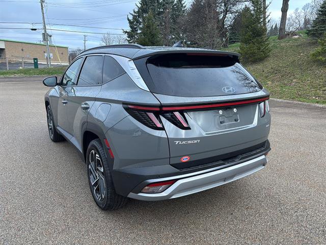 Used 2025 Hyundai Tucson Limited image 2