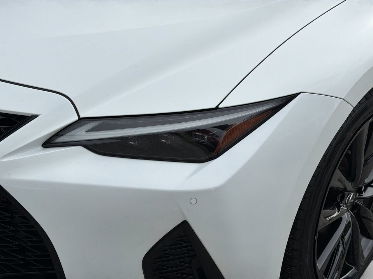 Used 2024 Lexus IS 350 F Sport RWD image 6