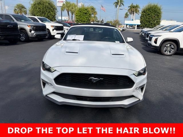 Used 2020 Ford Mustang Premium RWD image 2