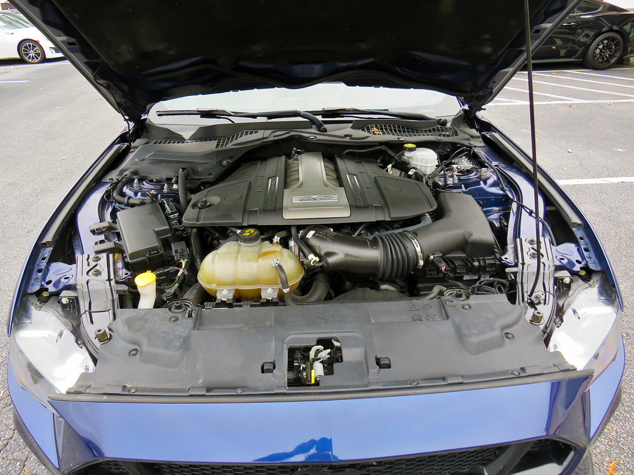 Used 2019 Ford Mustang GT Premium w/ Equipment Group 401A image 33