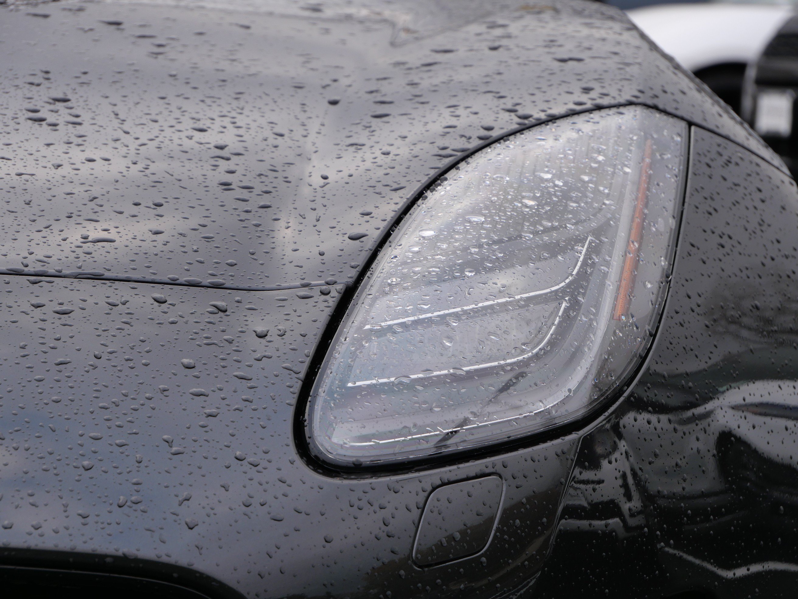 Used 2020 Jaguar F-TYPE Convertible RWD image 9